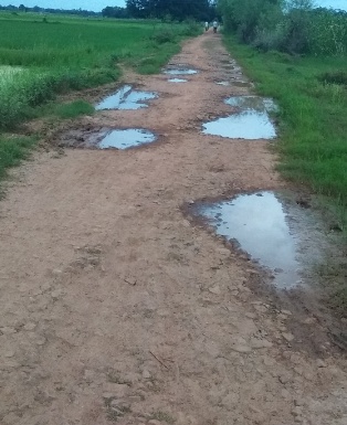 भाजपा के शासनकाल में ग्राम नीगा की सड़क में हुआ जमकर  भ्रष्टाचार