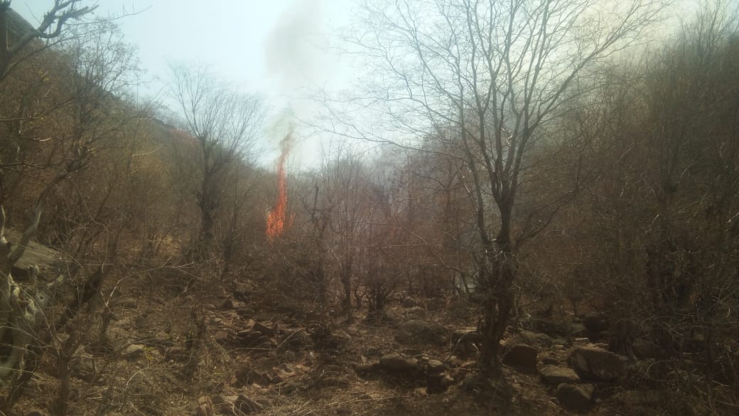 अतरैला थाना अन्तर्गत बरदहा घाट जंगल मे लगी आग अभी तक नहीं पहुचा अमला