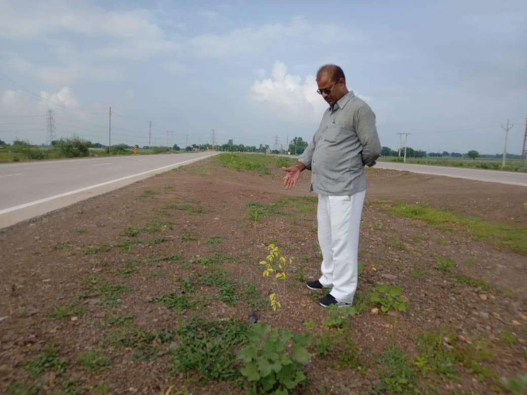 जेडीएस प्रदेश अध्यक्ष  ने रीवा- जबलपुर हाईवे का निरीक्षण कर वृक्षारोपण में व्यापक अनियमितता का किया खुलासाl
