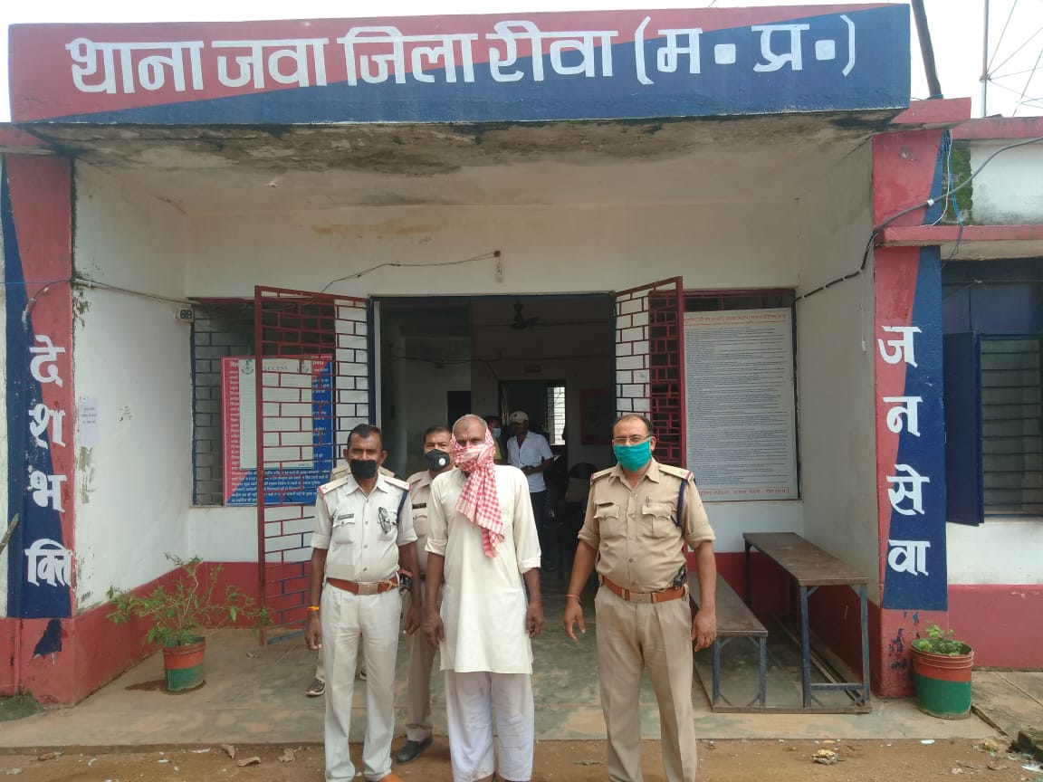   *जवा पुलिस ने गांजा के 07 पौधे कूल:-  35 किलो ग्राम कीमती करीबन 1,75,000 रुपए जप्त कर एक आरोपी को किया गिरफ्तार