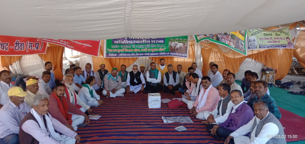 14 मार्च रीवा में राकेश टिकैत करेंगे किसान महापंचायत = किसान बिल के विरोध में 59वें  दिन किसानों ने दिया धरना